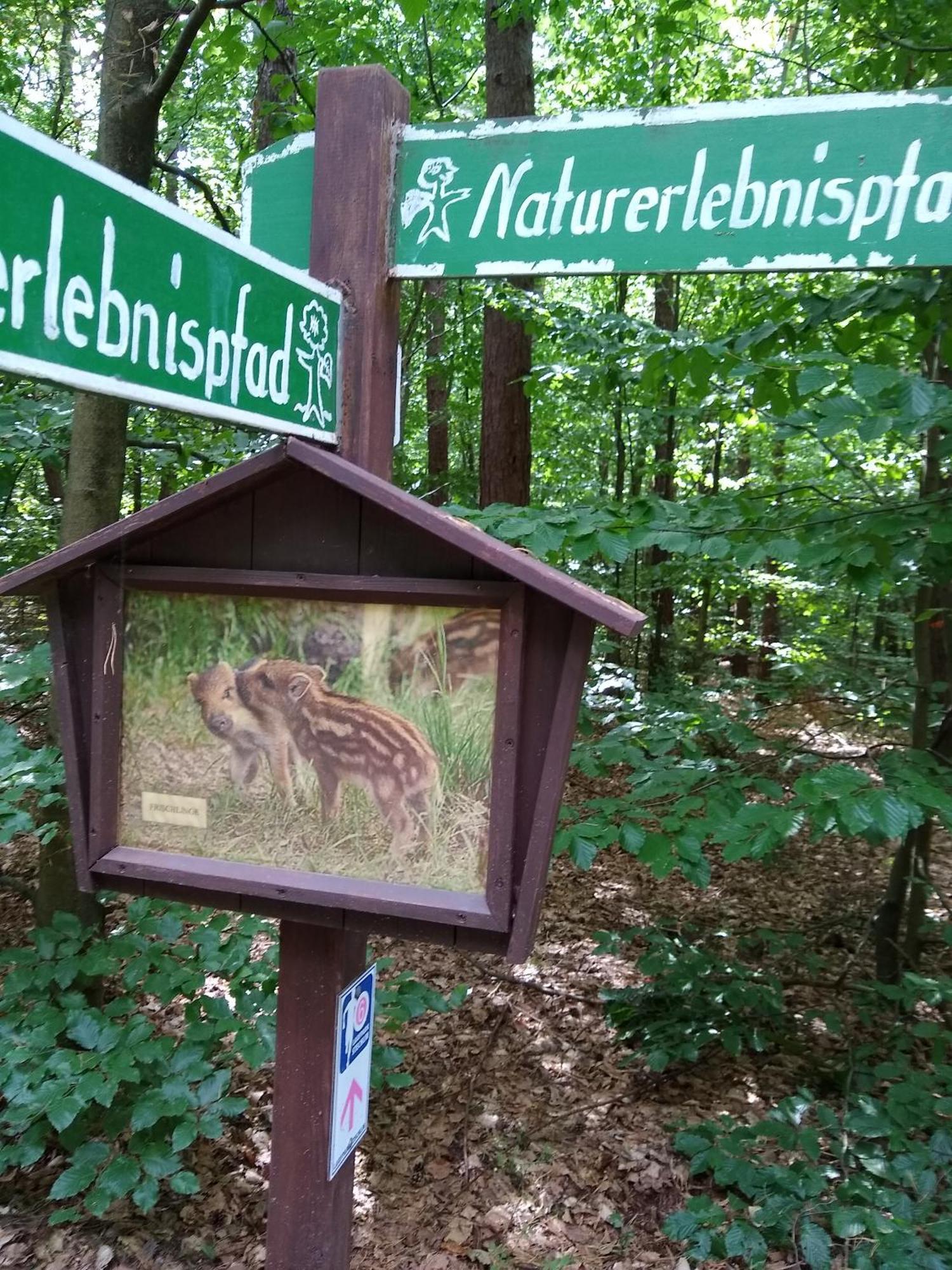 Zwei Seen Ferienhaus Canow Экстерьер фото